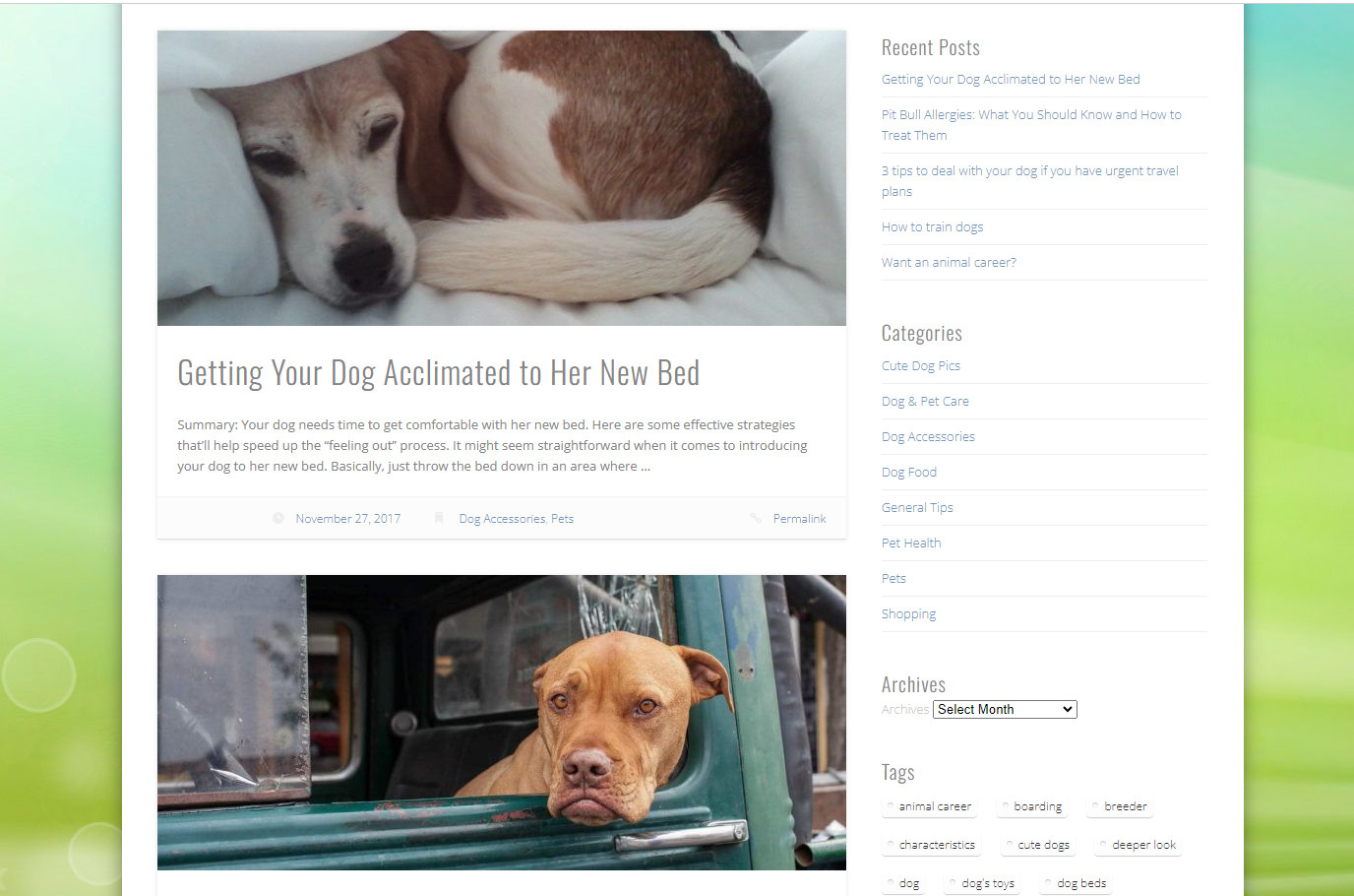 Dog Pet website blog for sale, established + Domain name + Free Hosting