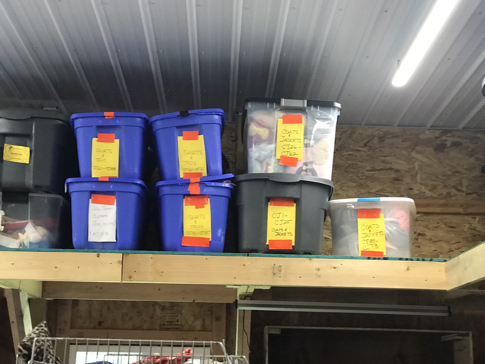 Liquidating online pet supplies store