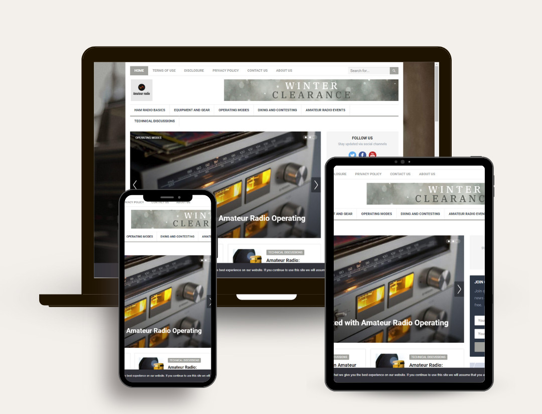 DFY NICHE WORDPRESS SITE