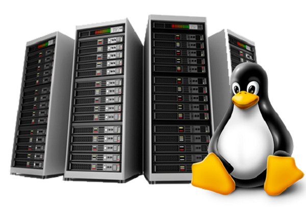 Site Hosting Service – 🌐 Unlimited SSD | SSL | Email | 24/7 Support $14.99/Year