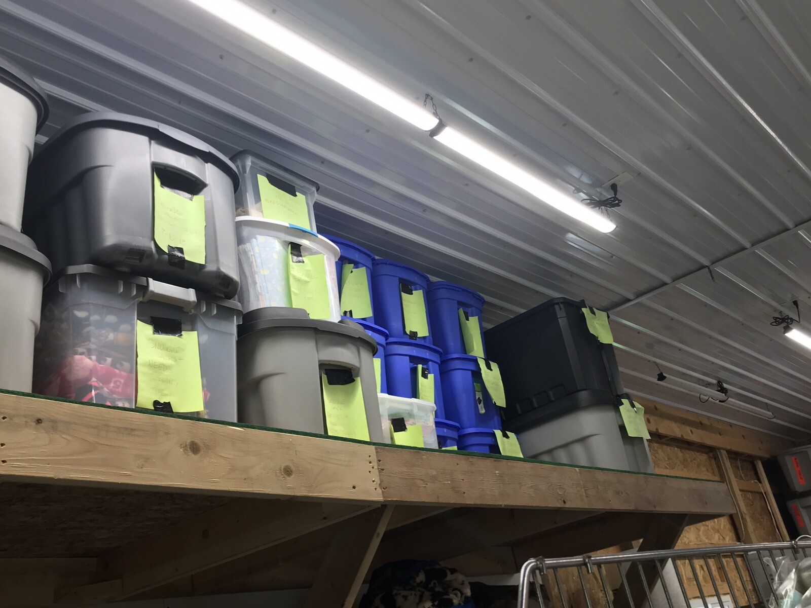 Liquidating online pet supplies store