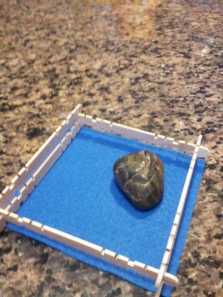 My Little Rock Pets – Business for sale!