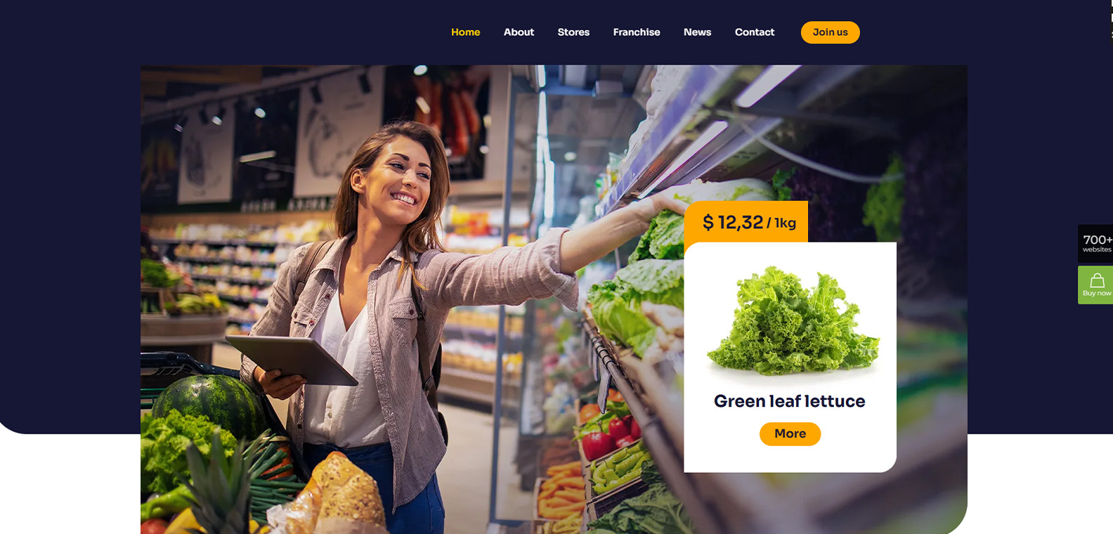 Custom Website Design with Free MOCKUP Web Hosting and Installation