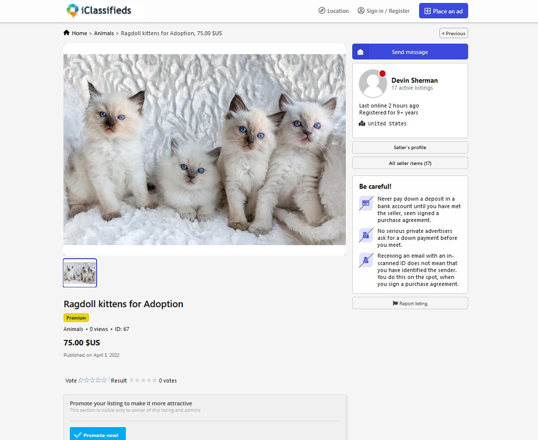 Classified Ads Website (EpsilonTheme) + Free Hosting with SSL