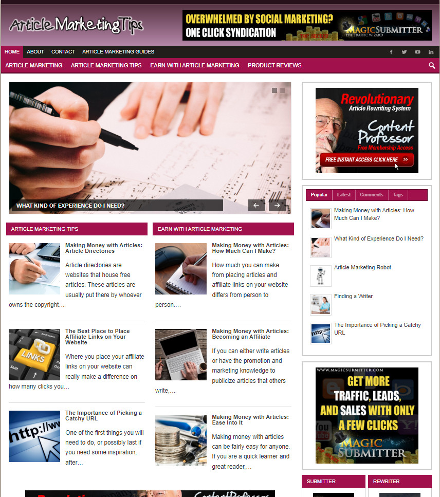 Article Marketing Tips Ready Made Blog Turnkey Niche Website Business for Sale