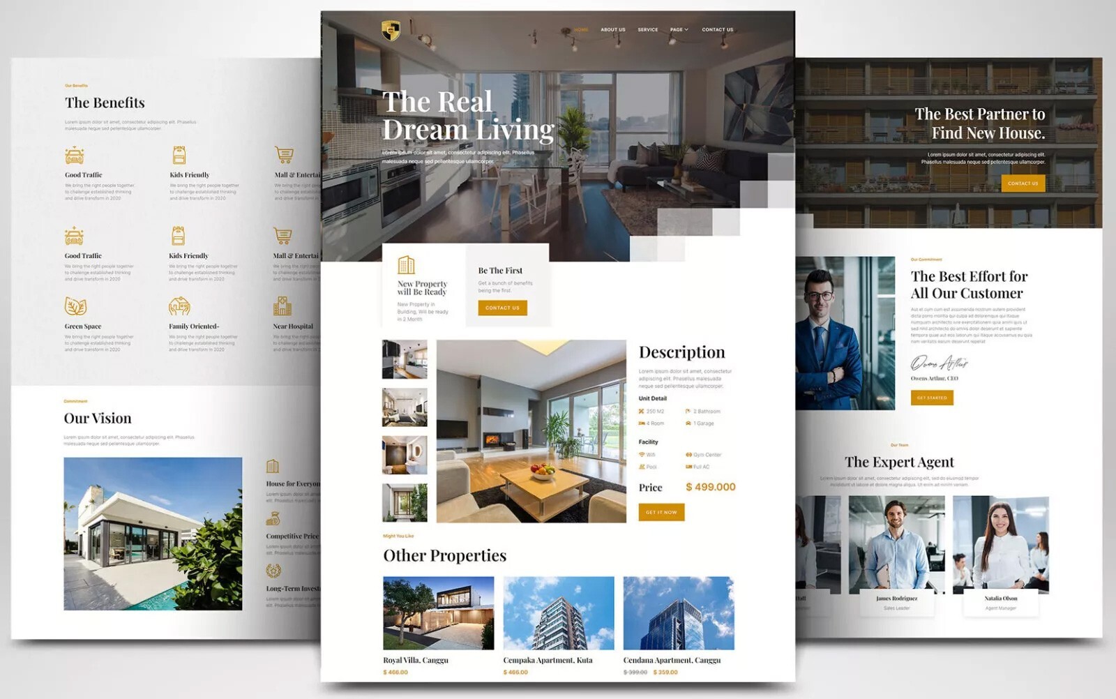 PROFESSIONAL CUSTOM WEBSITE FOR REAL ESTATE AGENCY & REAL ESTATE AGENT WORDPRESS
