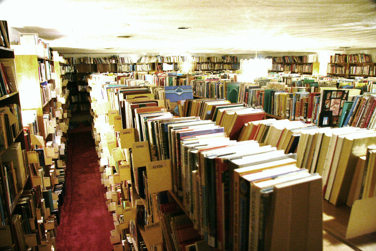 Successful AMAZON Business 100,000+ (80,000+ Cataloged) Books!