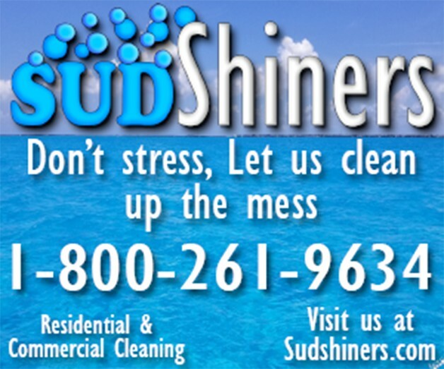 Branded Local Service Turnkey Website BUSINESS For Sale in Janitorial Services