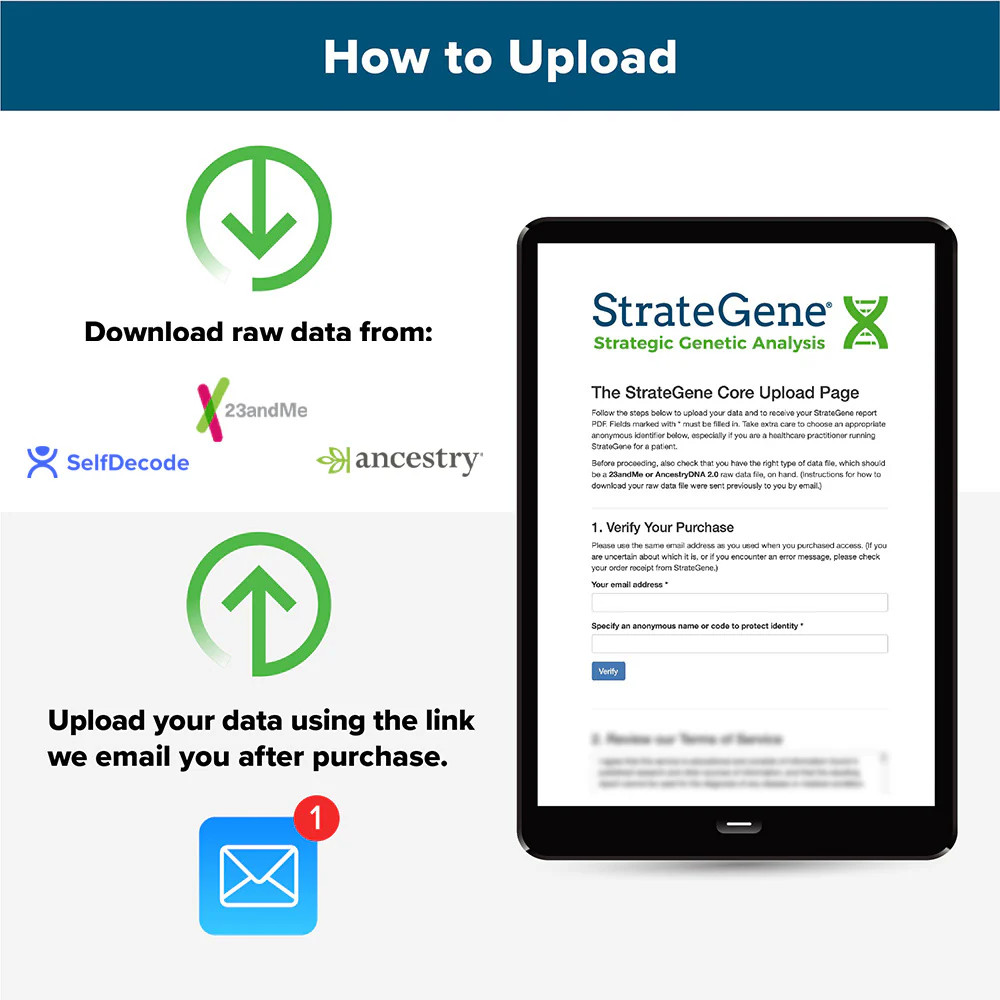 StrateGene Report-Seeking Health|10995
