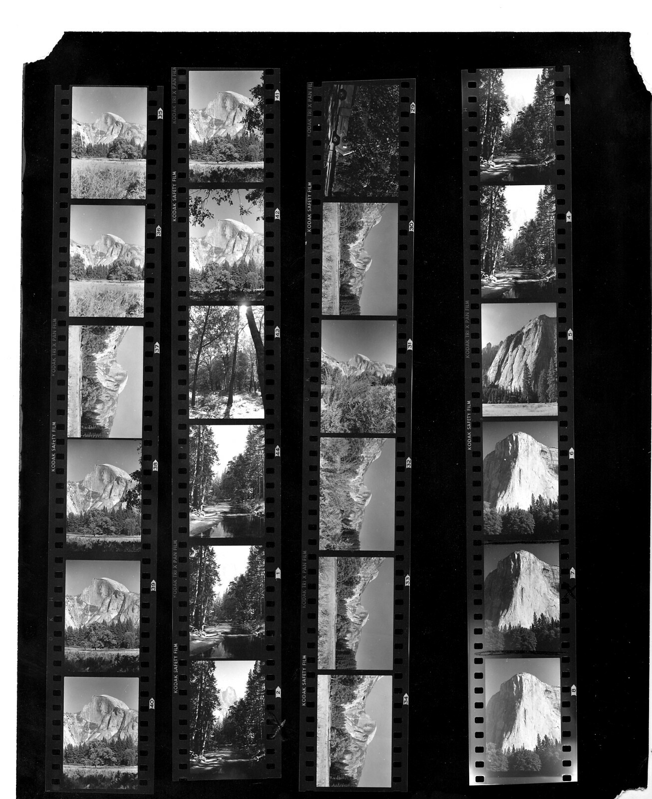 Business Opportunity – Yosemite 35mm Black and White Negatives