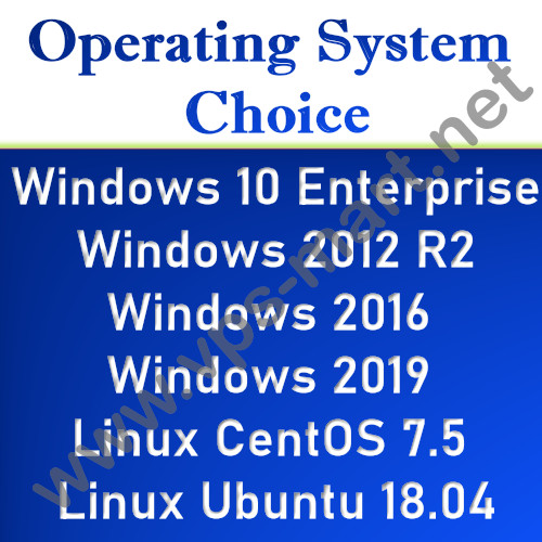 France Europe Windows VPS Server / RDP Server – 8 GB RAM + 300 GB HDD
