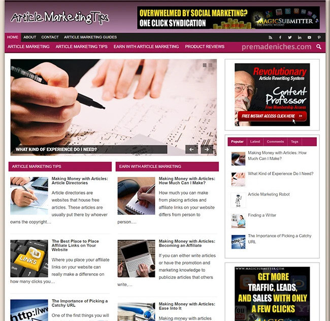 Article Marketing Instant Blog with an Exclusive Theme – Business For Sale