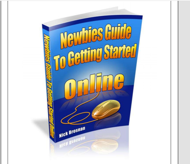 Newbies eBooks , Guides, Website Pages w/MRR License