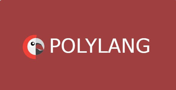 Polylang Pro ​​- Website in different languages ​​WordPress