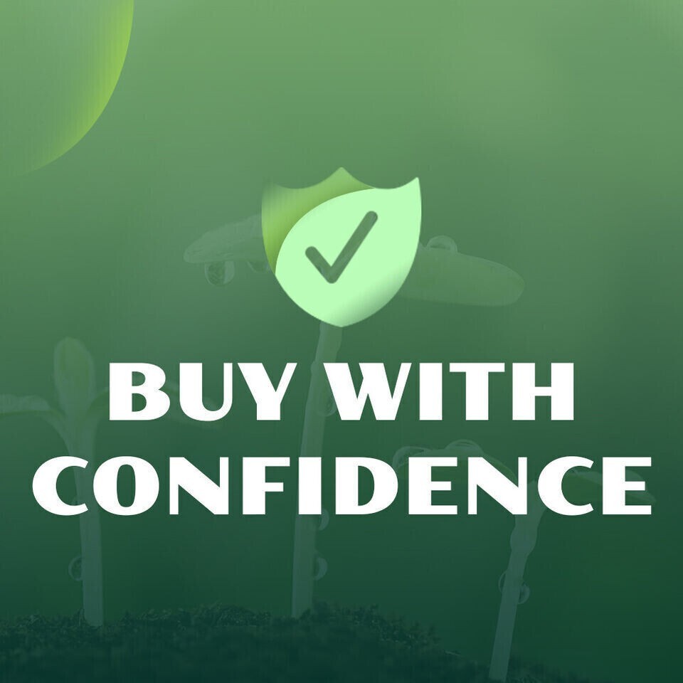 eBay Mobile Responsive Templates eBay Listing Auction Template HTTPS Secure HTML