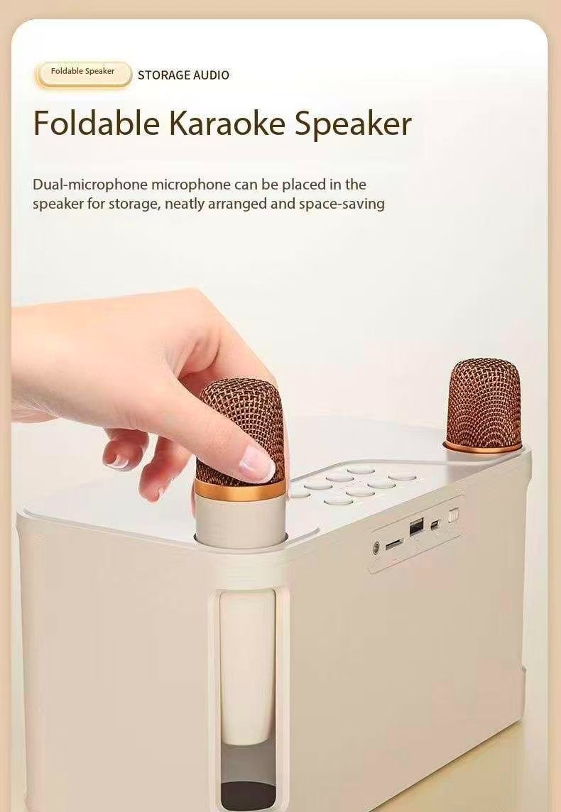 Home KTV audio set with wireless microphone for karaoke