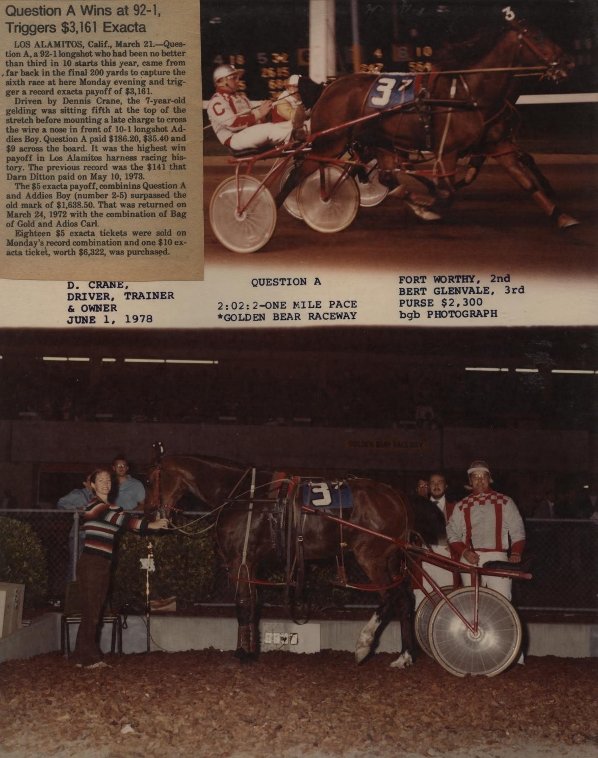 HarnessRacing.WS INTERNET DOMAIN HARNESS HORSE RACING STANDARDBRED HORSE HISTORY