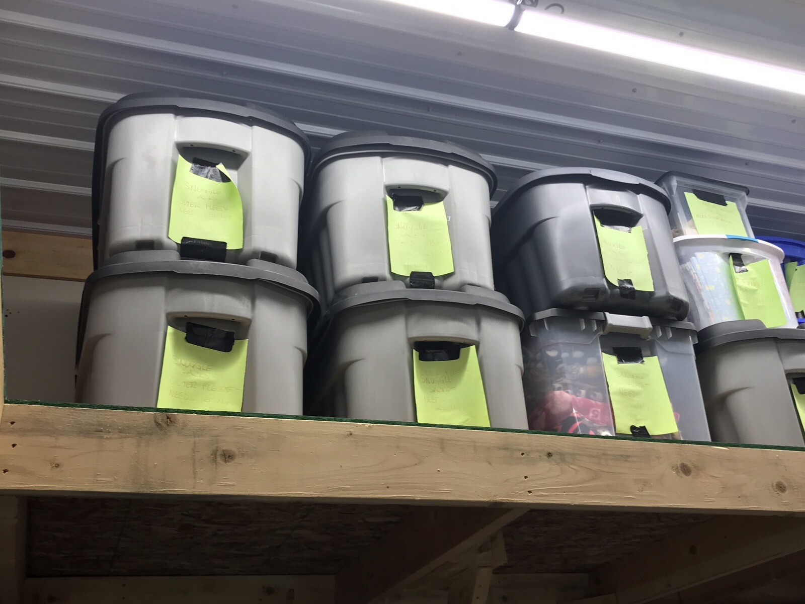 Liquidating online pet supplies store