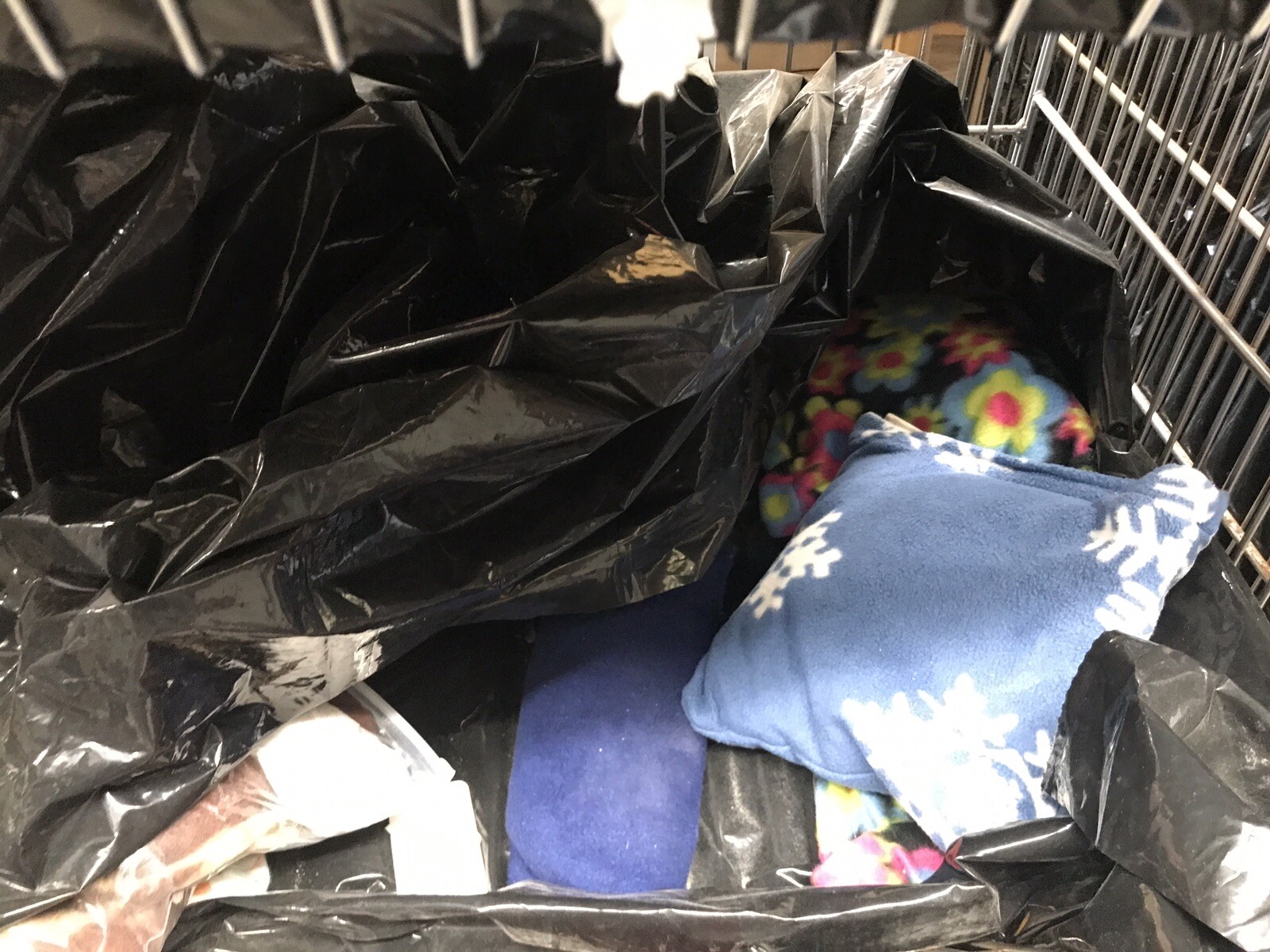 Liquidating online pet supplies store