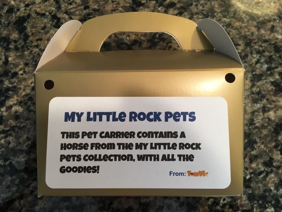 My Little Rock Pets – Business for sale!