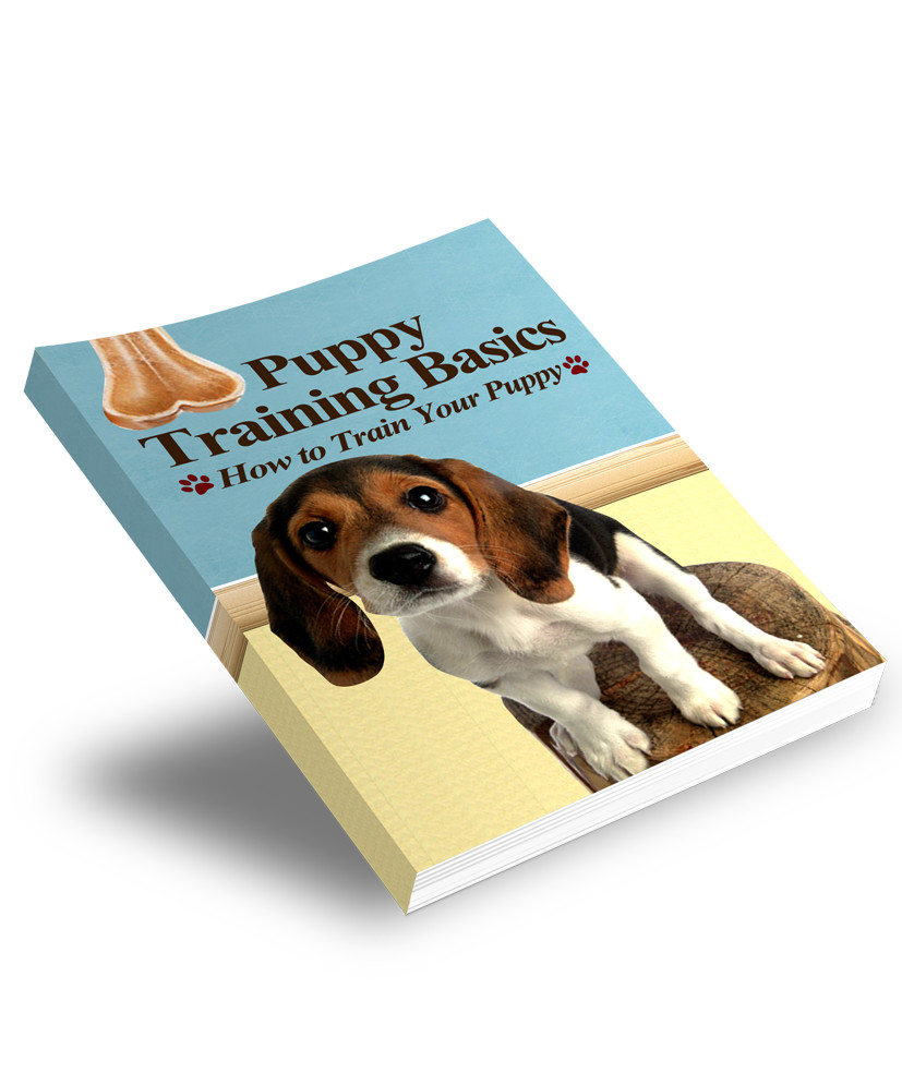 Pets eBooks , Guides, Website Pages & Courses Bundle w/MRR License