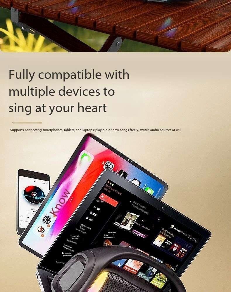 Microphone and speaker all-in-one wireless Bluetooth microphone