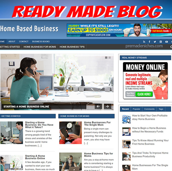 Internet Marketing Ready Made Niche Website/Blog EZ Turnkey Run & Customize