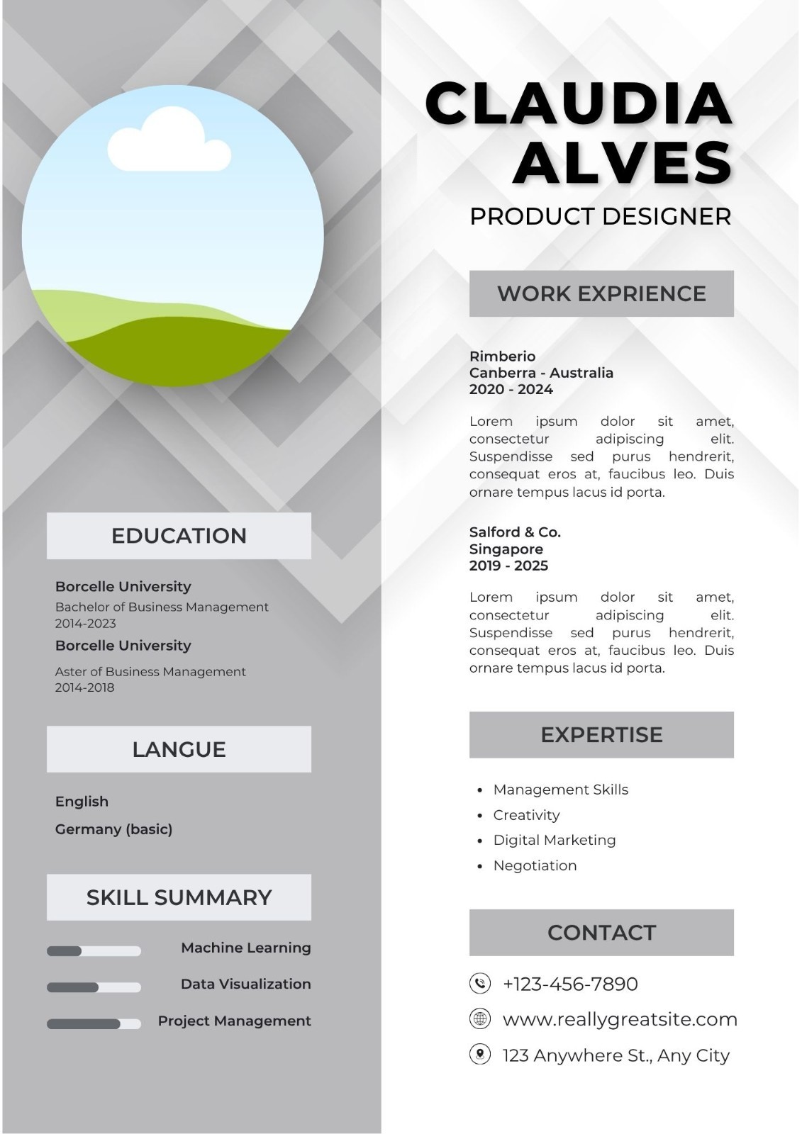 15 Professional & Modern Re Editable CV Templates | Canva Template