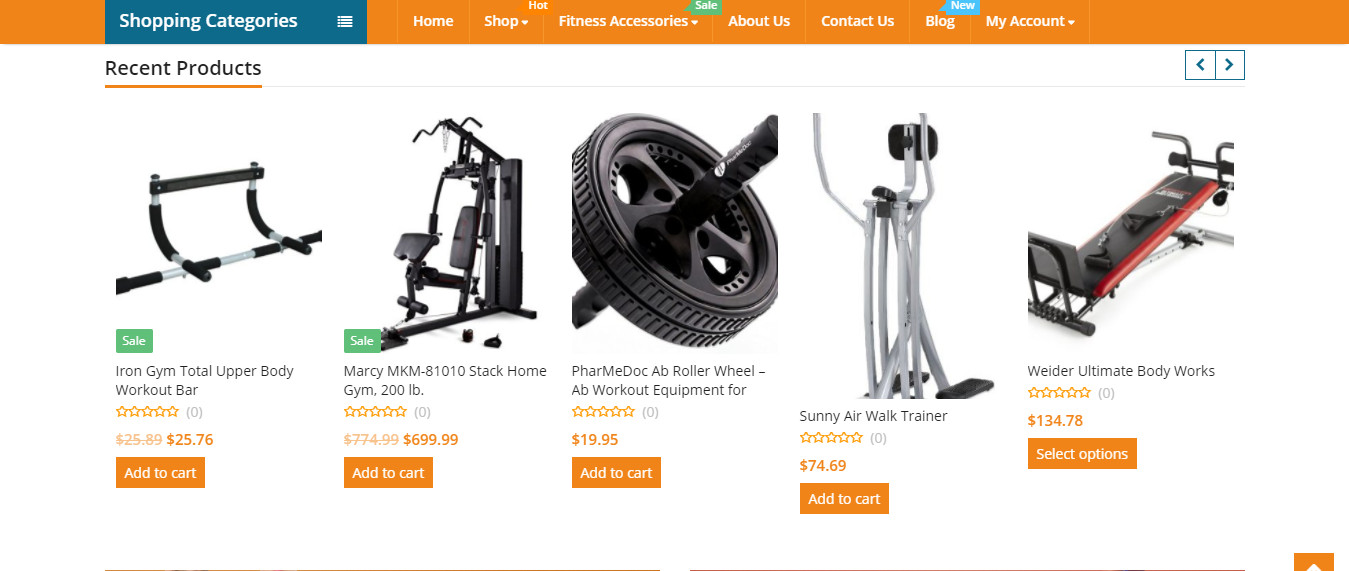 Established Profitable FITNESS Turnkey Online Business Website For Sale