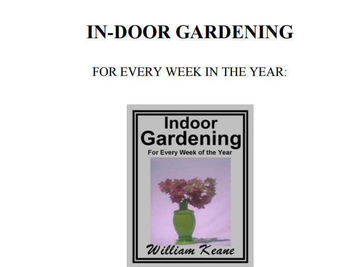 DIY Hobby eBooks , Guides, Website Pages & Courses Bundle w/MRR License