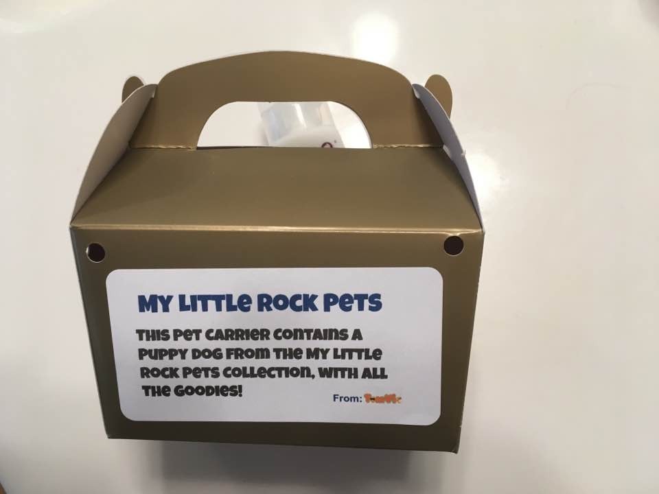 My Little Rock Pets – Business for sale!