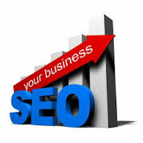 250,000 Real Traffic SEO search engines booster advertising