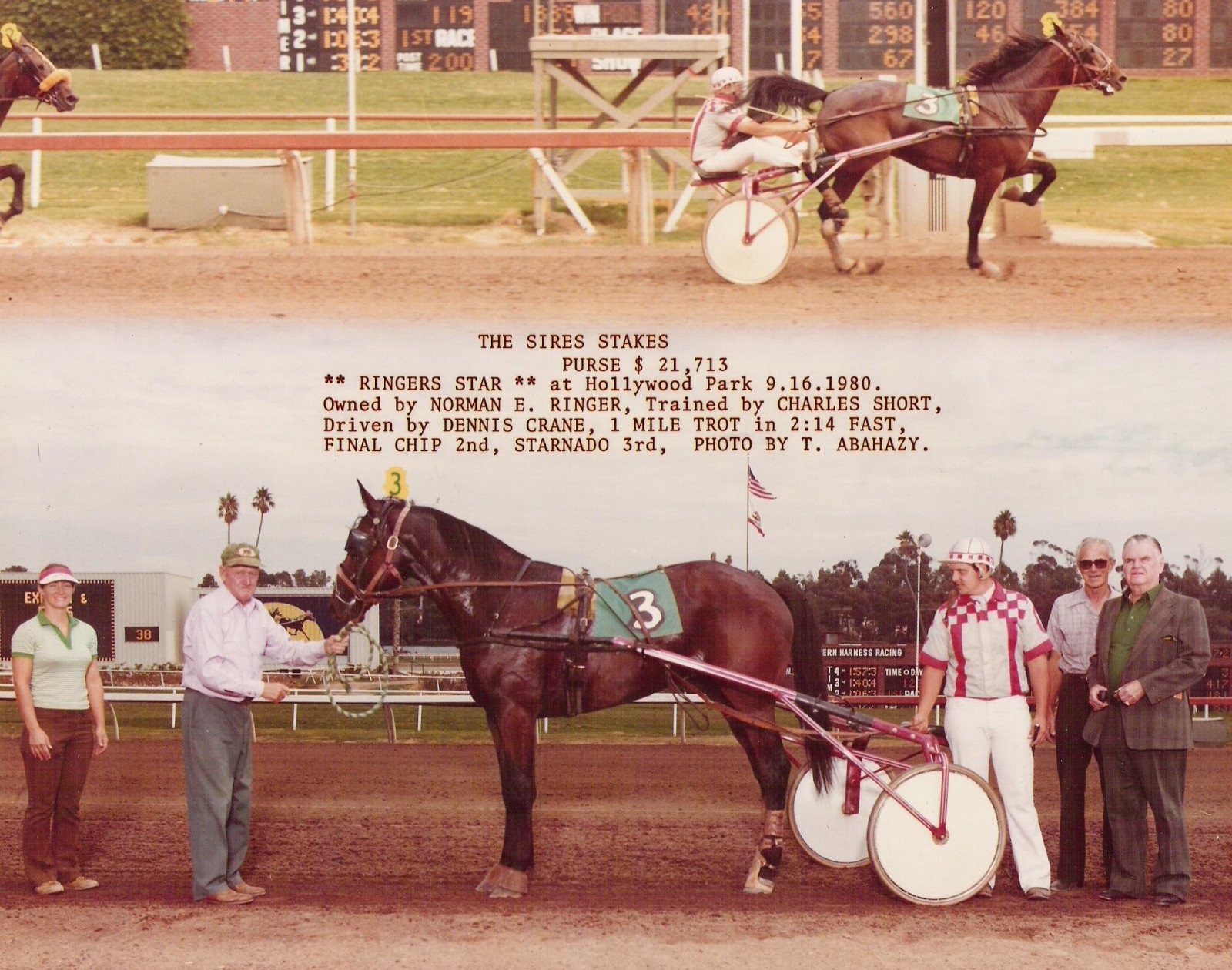 HarnessRacing.WS INTERNET DOMAIN HARNESS HORSE RACING STANDARDBRED HORSE HISTORY