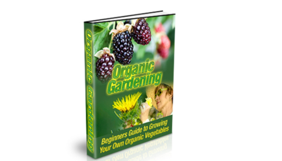 DIY Hobby eBooks , Guides, Website Pages & Courses Bundle w/MRR License