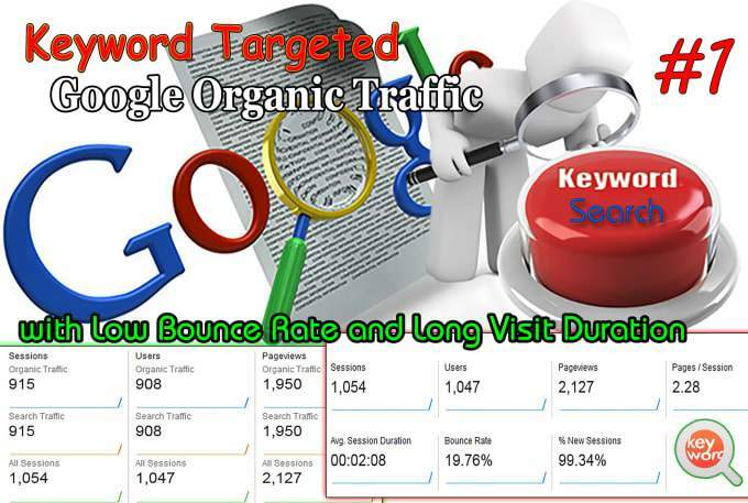 500+ Real USA Visitors to Your Website per Day