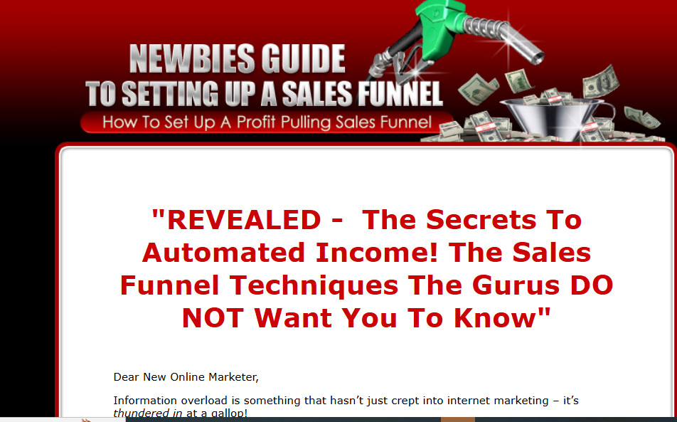 Newbies eBooks , Guides, Website Pages w/MRR License
