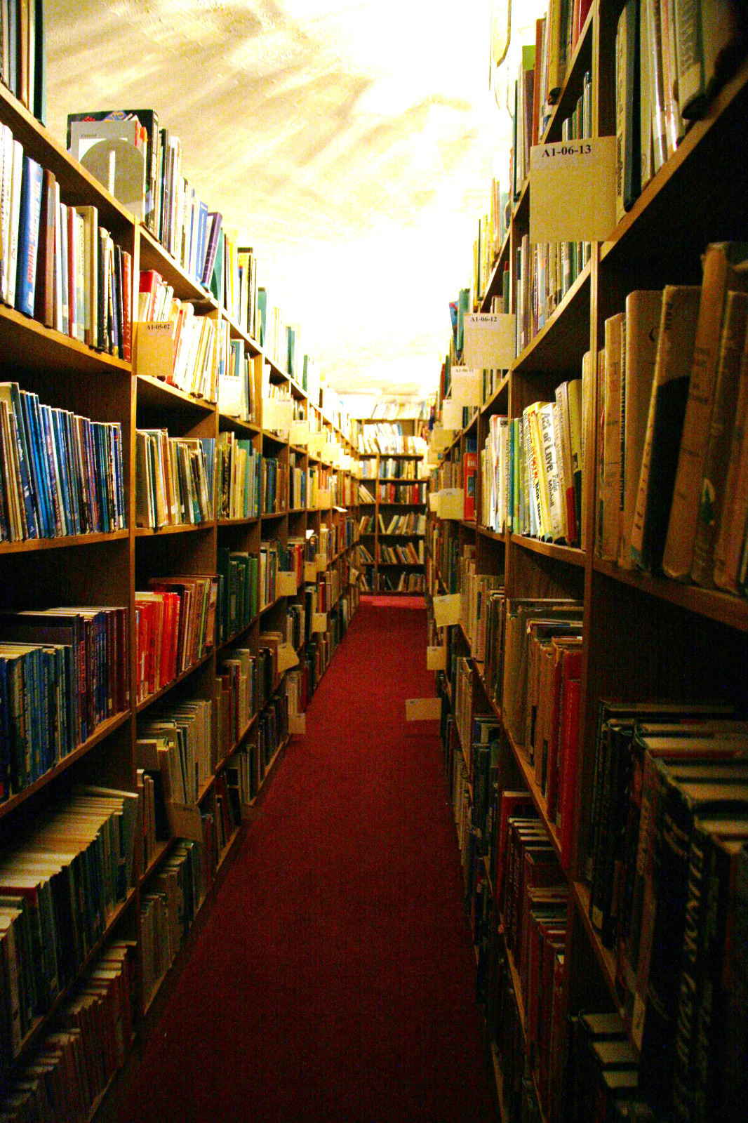 Successful AMAZON Business 100,000+ (80,000+ Cataloged) Books!