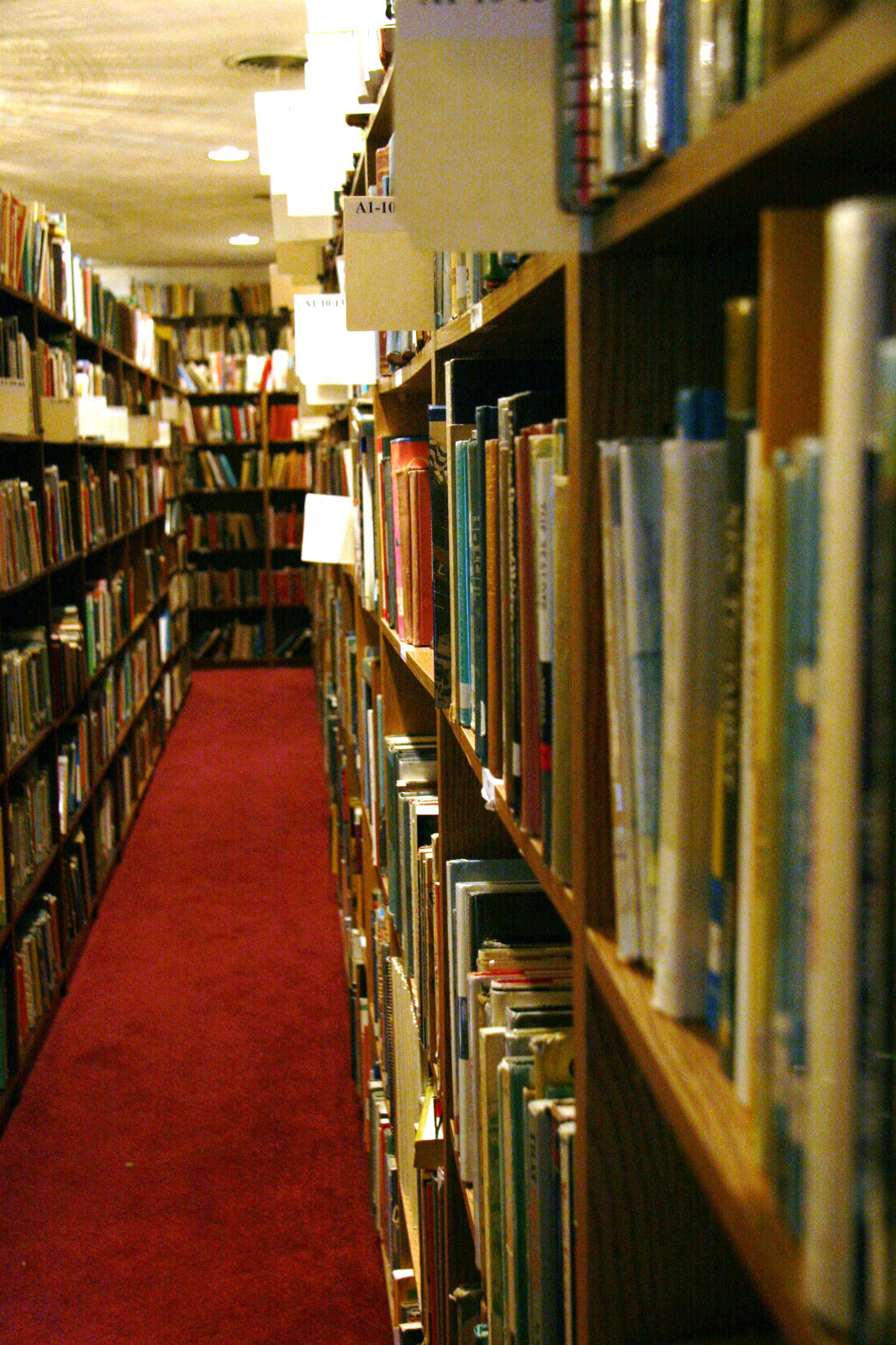 Successful AMAZON Business 100,000+ (80,000+ Cataloged) Books!
