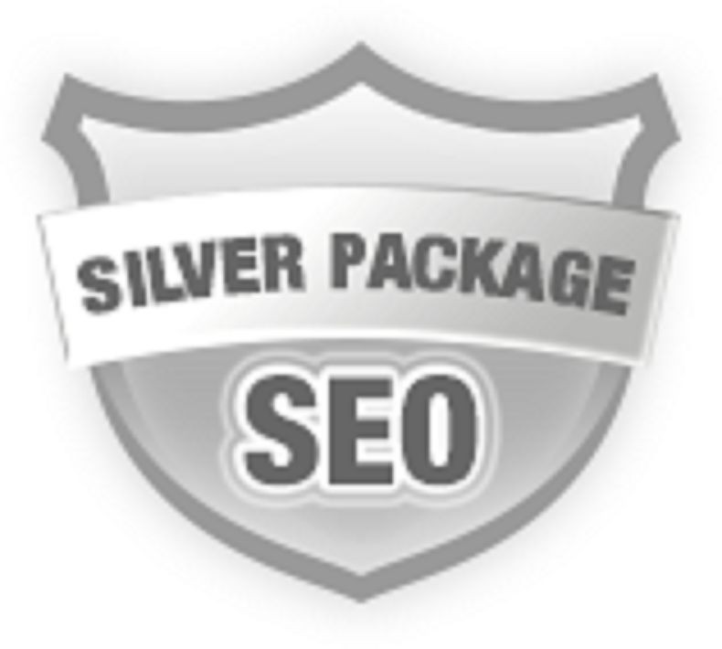2,000,000 Real Visitors and SEO Submit Website Web Advertising