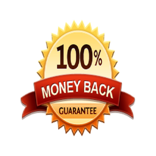 250,000 Real Traffic SEO search engines booster advertising